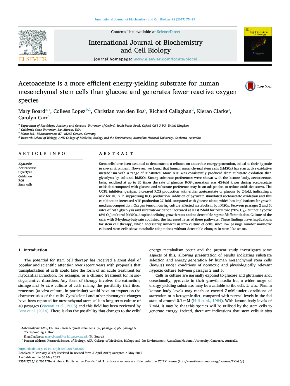 Acetoacetate is a more efficient energy-yielding substrate for human mesenchymal stem cells than glucose and generates fewer reactive oxygen species