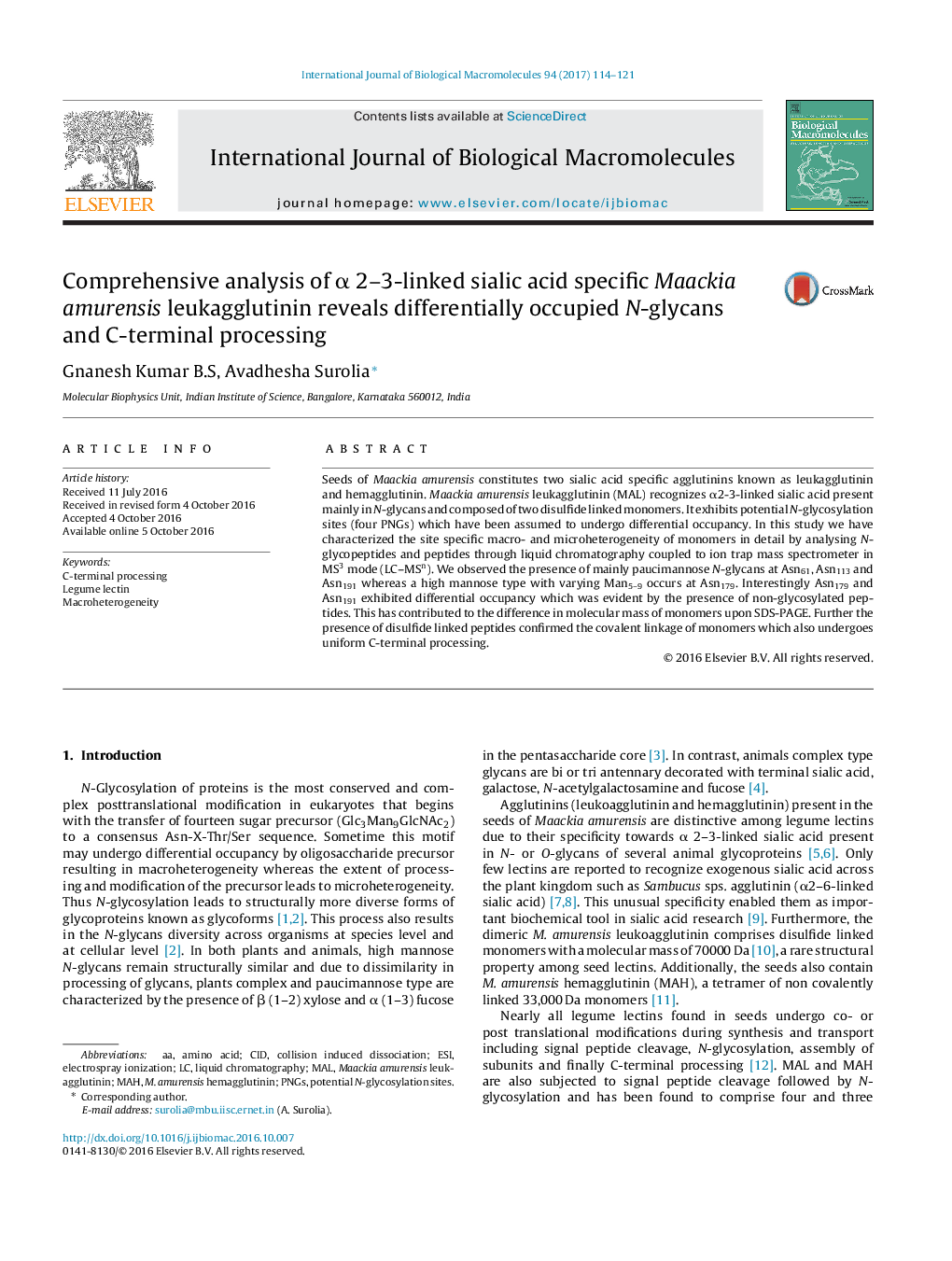 Comprehensive analysis of Î± 2-3-linked sialic acid specific Maackia amurensis leukagglutinin reveals differentially occupied N-glycans and C-terminal processing