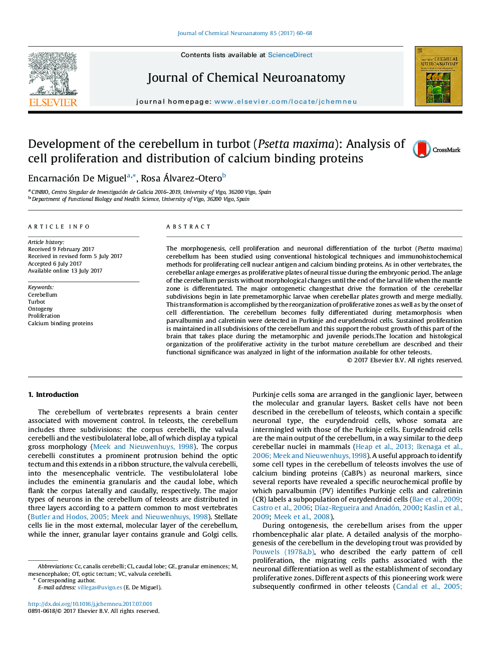 Development of the cerebellum in turbot (Psetta maxima): Analysis of cell proliferation and distribution of calcium binding proteins