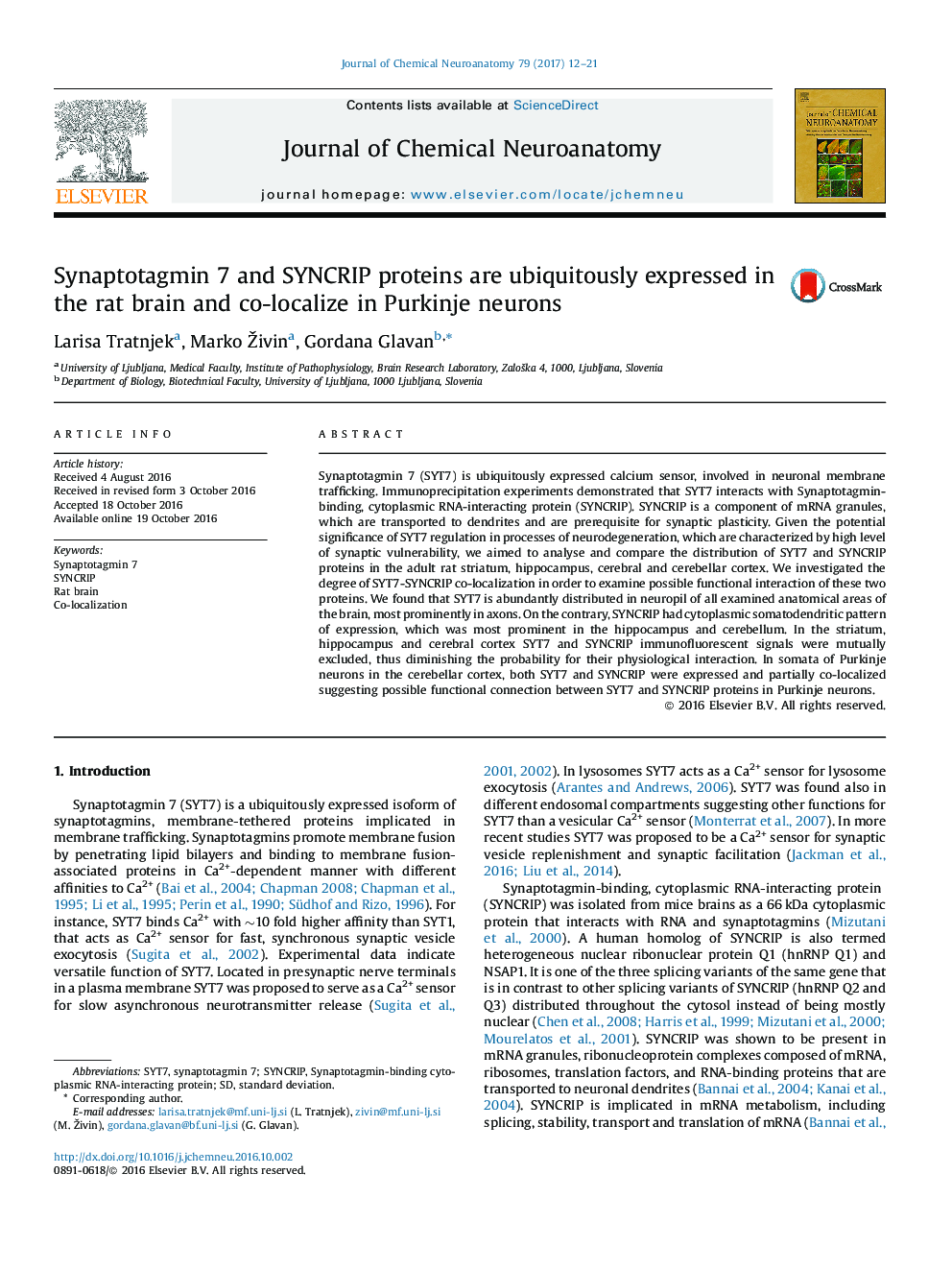 Synaptotagmin 7 and SYNCRIP proteins are ubiquitously expressed in the rat brain and co-localize in Purkinje neurons