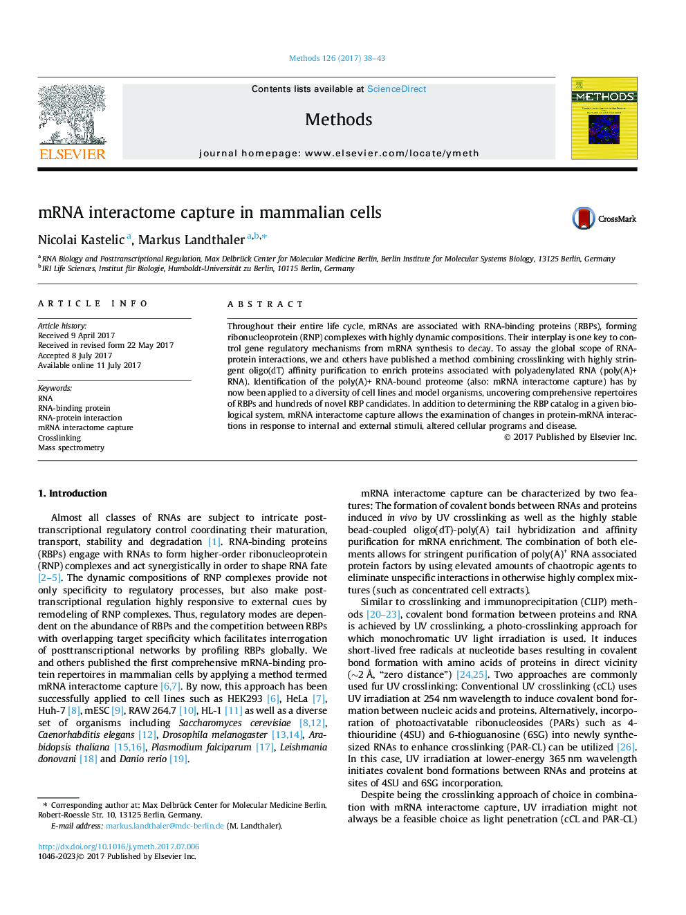 mRNA interactome capture in mammalian cells