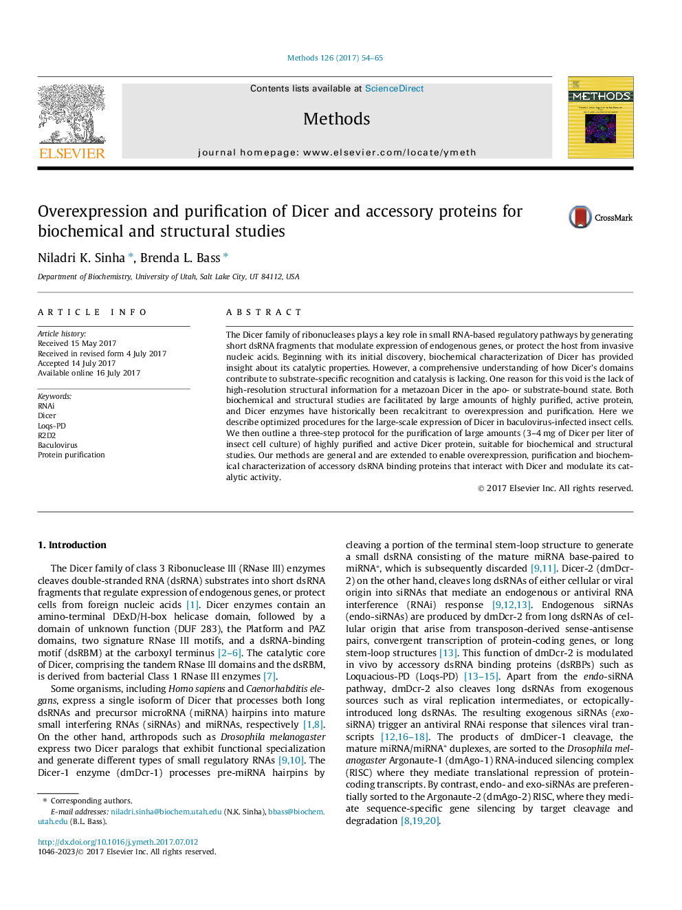 Overexpression and purification of Dicer and accessory proteins for biochemical and structural studies