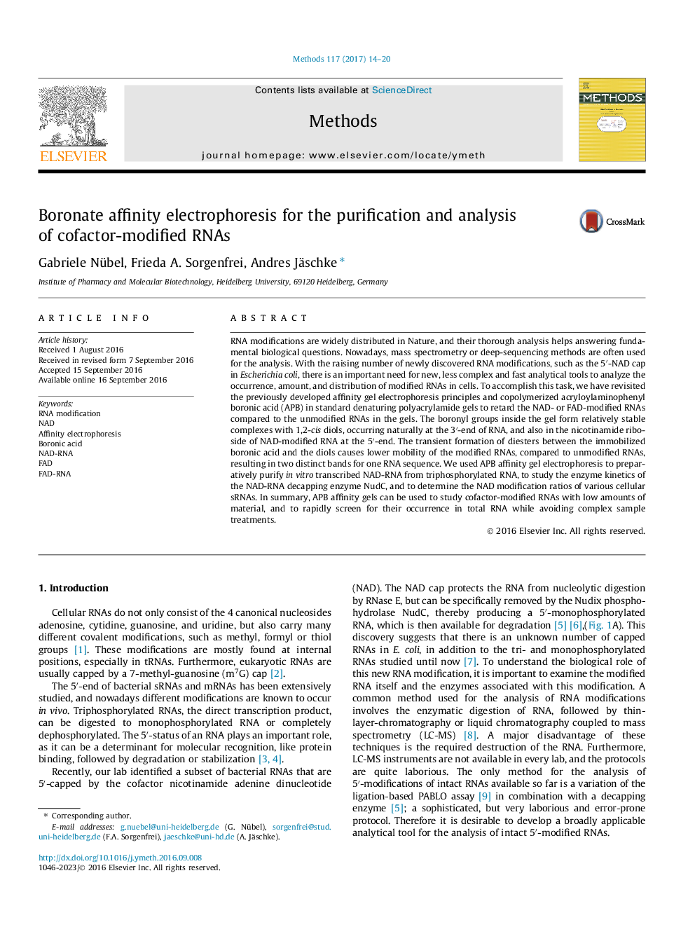 Boronate affinity electrophoresis for the purification and analysis of cofactor-modified RNAs