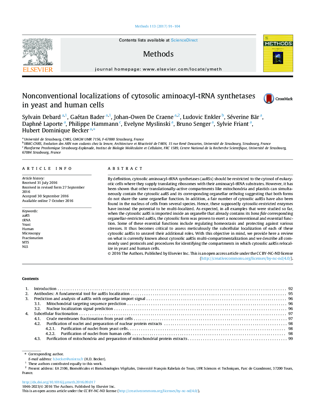 Nonconventional localizations of cytosolic aminoacyl-tRNA synthetases in yeast and human cells