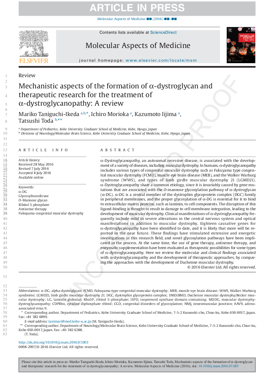 Mechanistic aspects of the formation of Î±-dystroglycan and therapeutic research for the treatment of Î±-dystroglycanopathy: A review