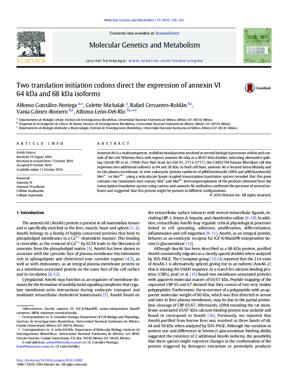 Two translation initiation codons direct the expression of annexin VI 64Â kDa and 68Â kDa isoforms