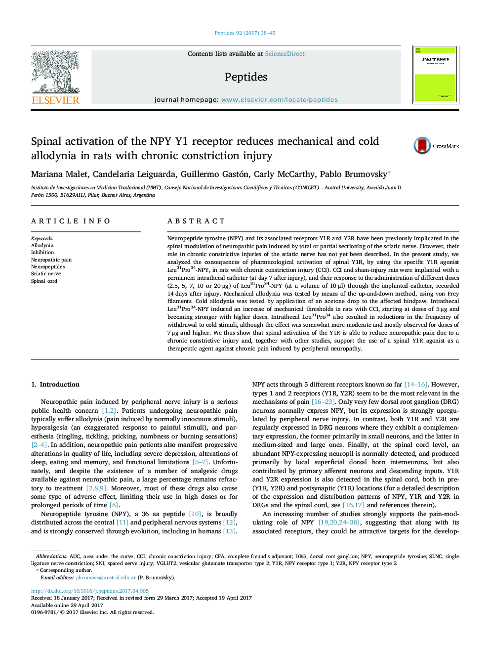 Spinal activation of the NPY Y1 receptor reduces mechanical and cold allodynia in rats with chronic constriction injury