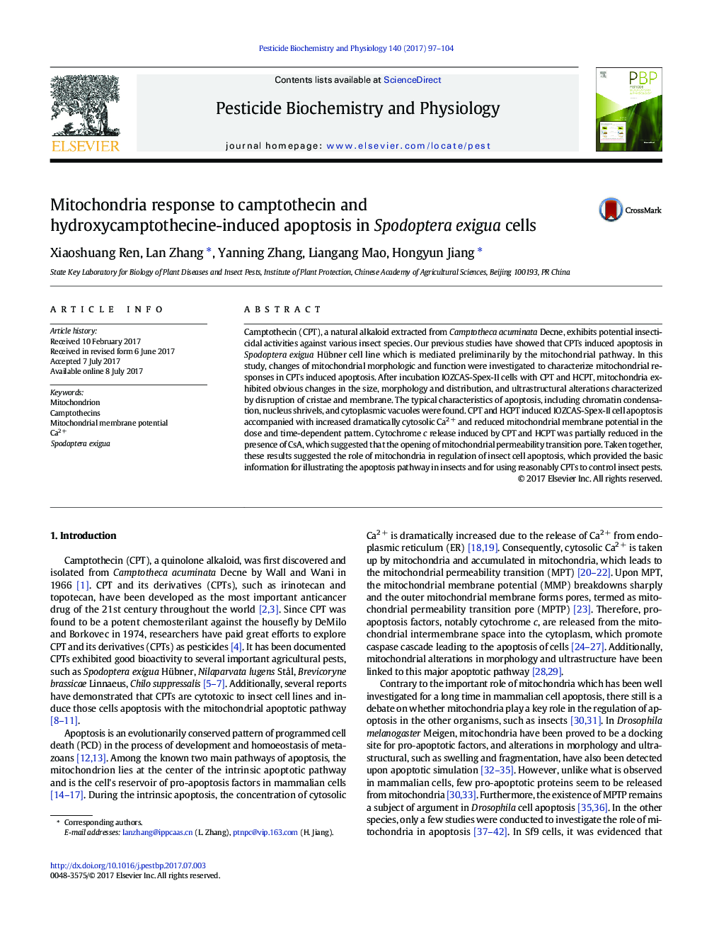 Mitochondria response to camptothecin and hydroxycamptothecine-induced apoptosis in Spodoptera exigua cells