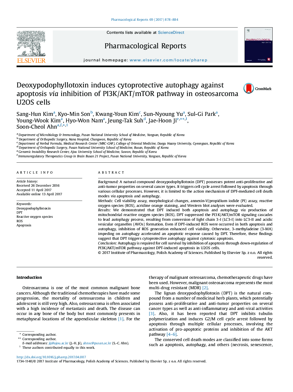 Deoxypodophyllotoxin induces cytoprotective autophagy against apoptosis via inhibition of PI3K/AKT/mTOR pathway in osteosarcoma U2OS cells