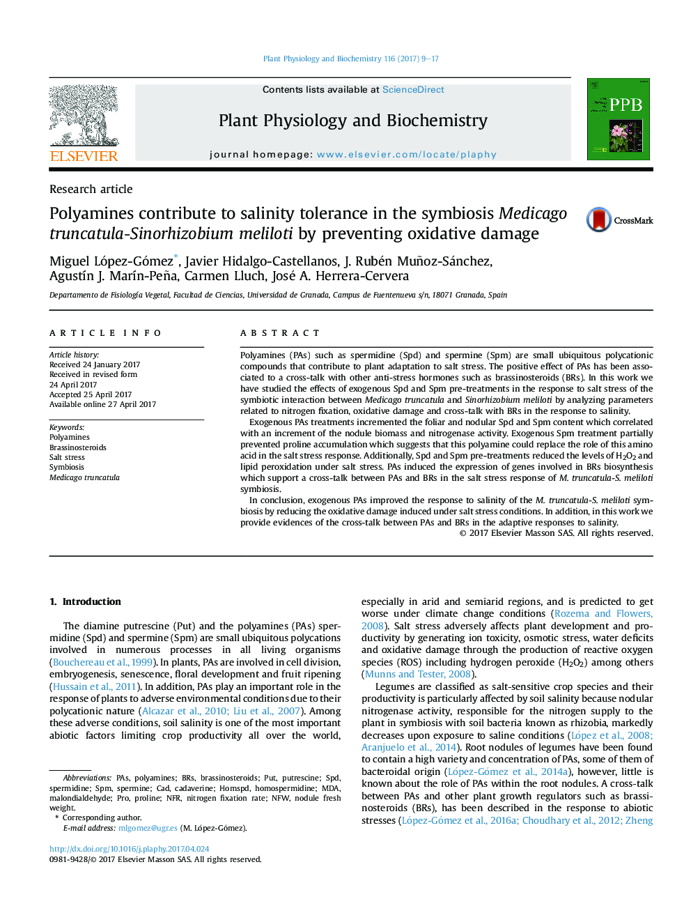 Research articlePolyamines contribute to salinity tolerance in the symbiosis Medicago truncatula-Sinorhizobium meliloti by preventing oxidative damage