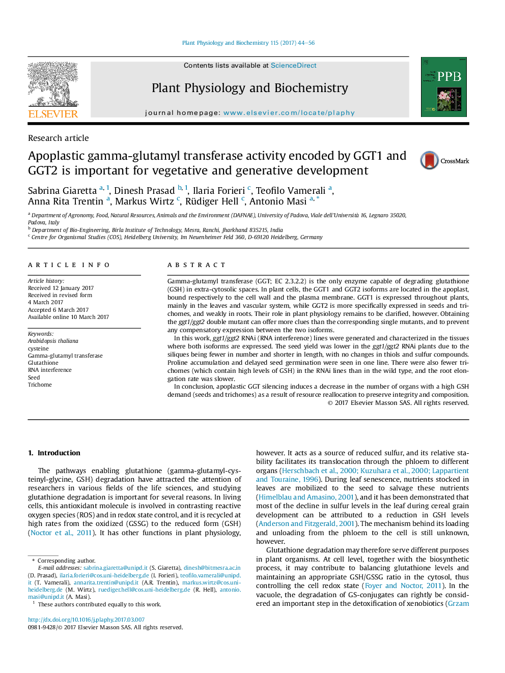 Research articleApoplastic gamma-glutamyl transferase activity encoded by GGT1 and GGT2 is important for vegetative and generative development