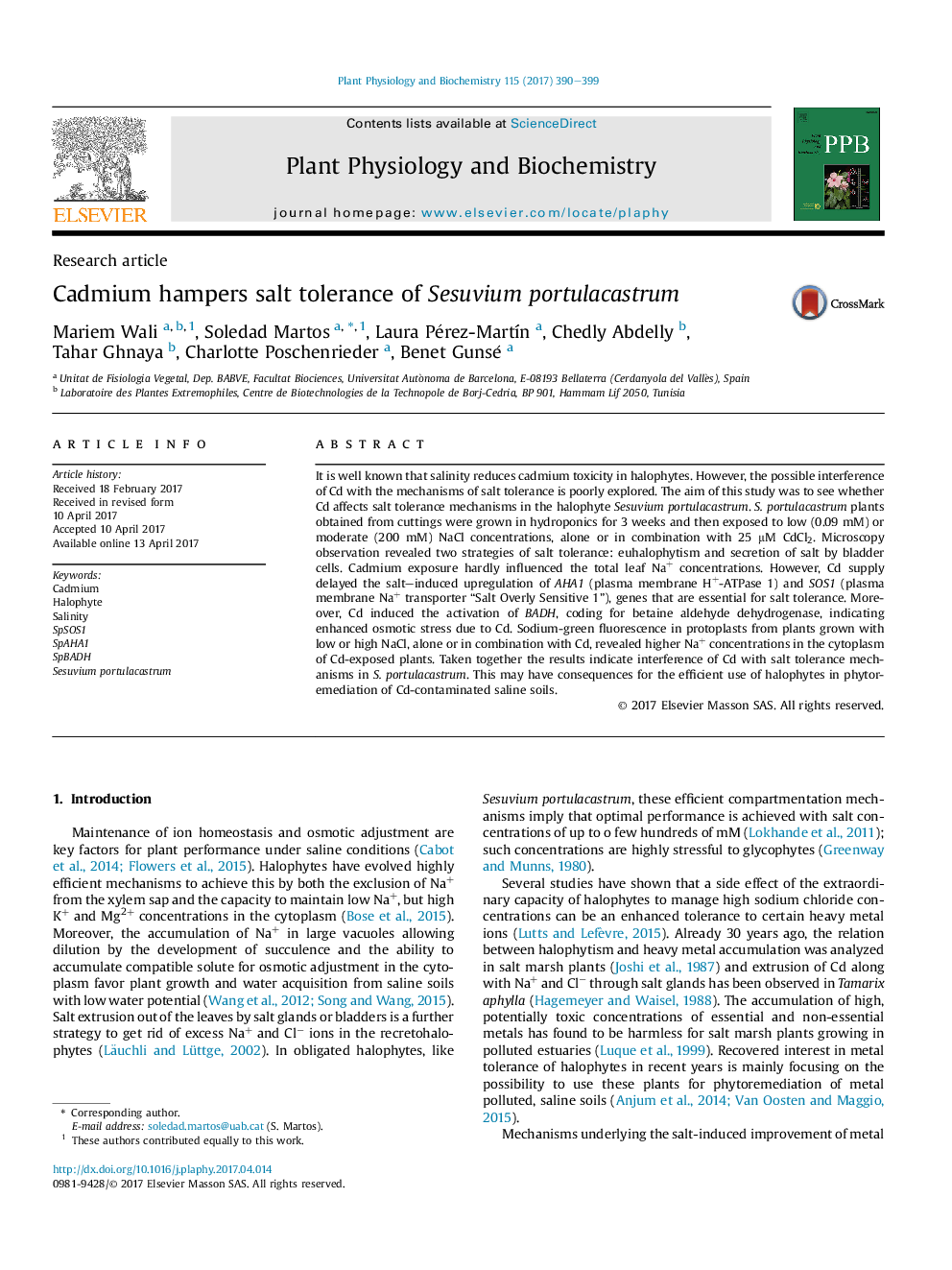 Research articleCadmium hampers salt tolerance of Sesuvium portulacastrum