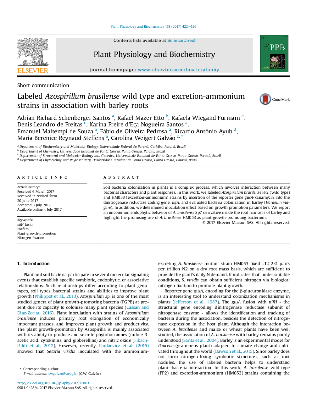 Short communicationLabeled Azospirillum brasilense wild type and excretion-ammonium strains in association with barley roots