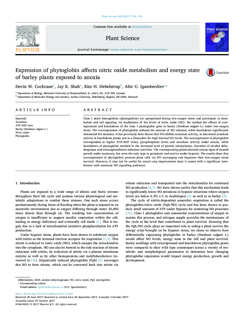 Expression of phytoglobin affects nitric oxide metabolism and energy state of barley plants exposed to anoxia