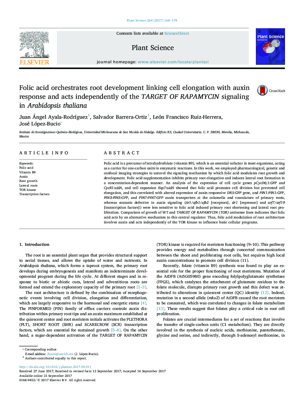 Folic acid orchestrates root development linking cell elongation with auxin response and acts independently of the TARGET OF RAPAMYCIN signaling in Arabidopsis thaliana