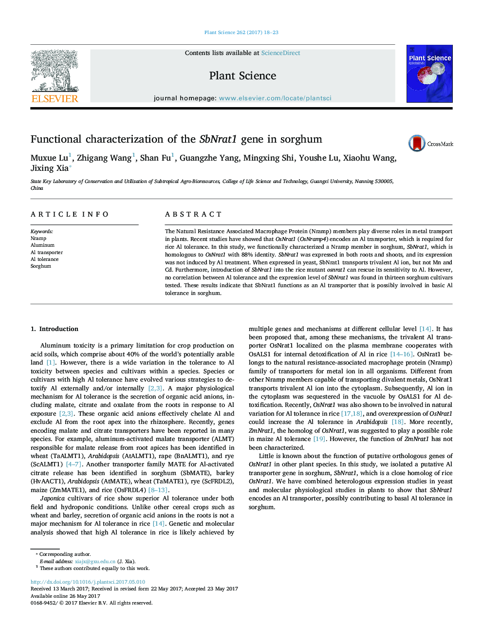 Functional characterization of the SbNrat1 gene in sorghum