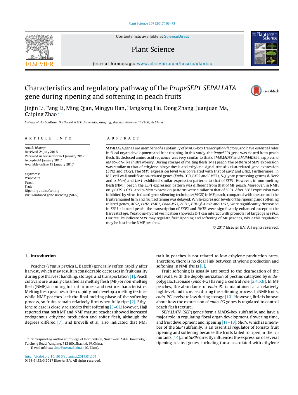 Characteristics and regulatory pathway of the PrupeSEP1 SEPALLATA gene during ripening and softening in peach fruits
