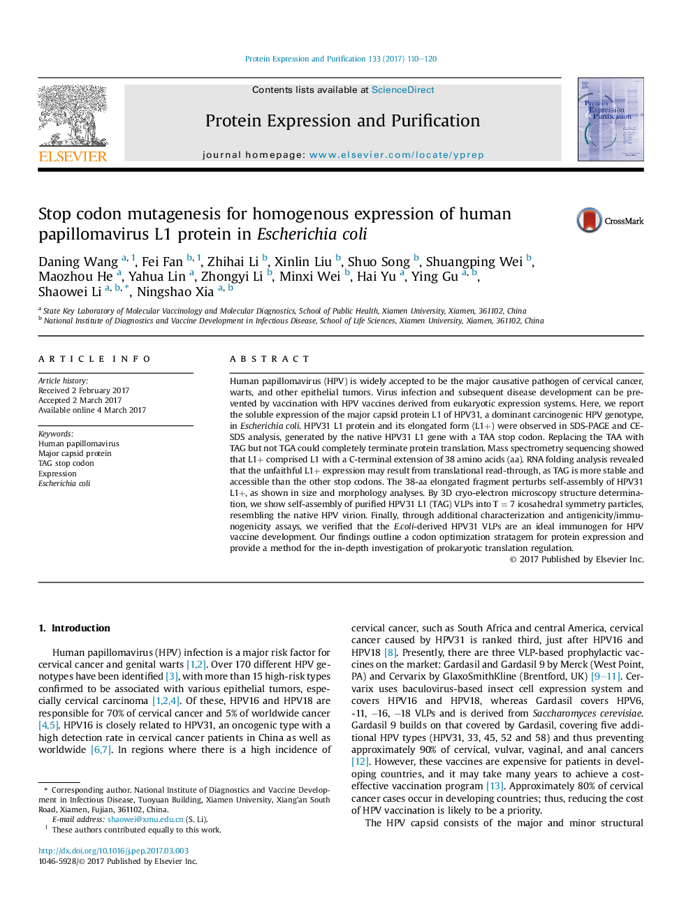 Stop codon mutagenesis for homogenous expression of human papillomavirus L1 protein in Escherichia coli