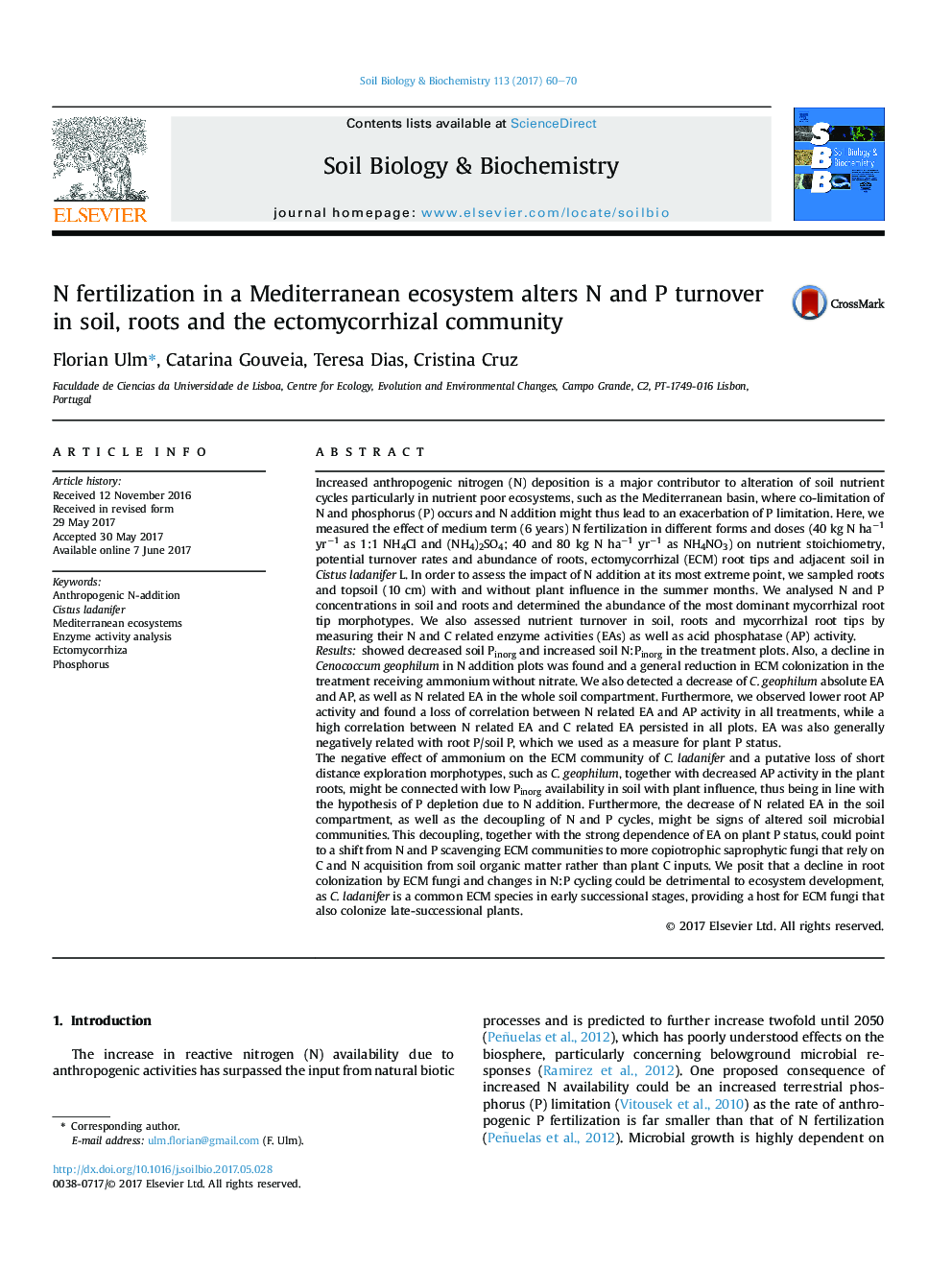 N fertilization in a Mediterranean ecosystem alters N and P turnover in soil, roots and the ectomycorrhizal community