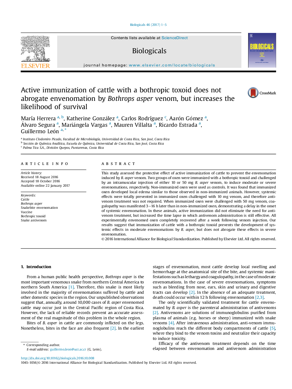 Active immunization of cattle with a bothropic toxoid does not abrogate envenomation by Bothrops asper venom, but increases the likelihood of survival