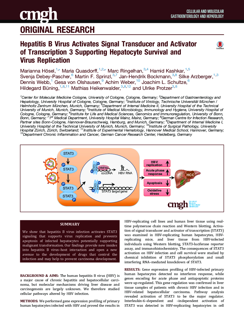 Hepatitis B Virus Activates Signal Transducer and Activator of Transcription 3 Supporting Hepatocyte Survival and Virus Replication