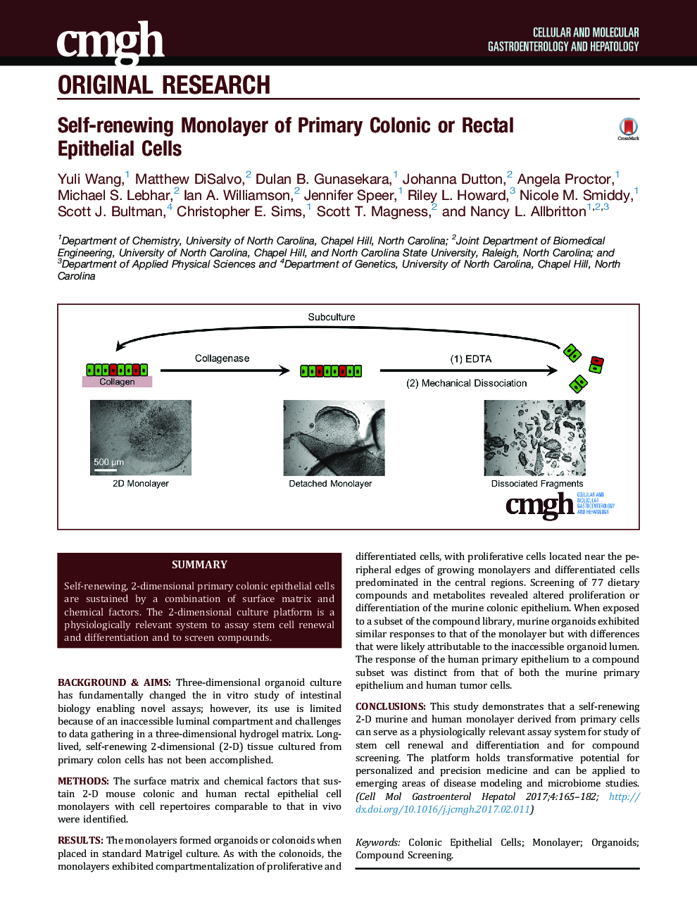 Self-renewing Monolayer of Primary Colonic or Rectal Epithelial Cells