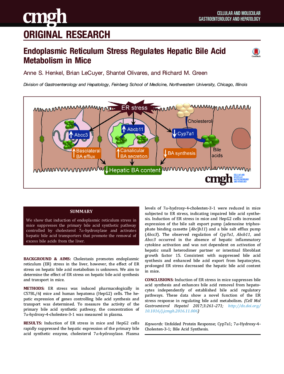 Endoplasmic Reticulum Stress Regulates Hepatic Bile Acid Metabolism in Mice
