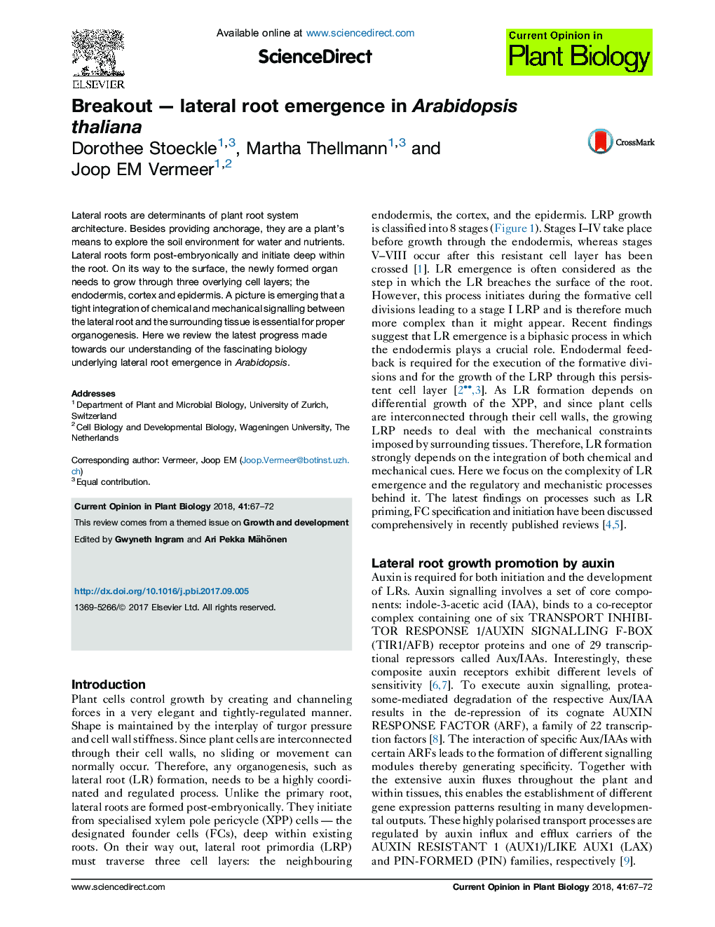 BreakoutÂ -Â lateral root emergence in Arabidopsis thaliana