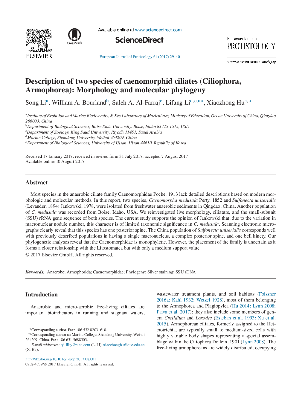 Description of two species of caenomorphid ciliates (Ciliophora, Armophorea): Morphology and molecular phylogeny