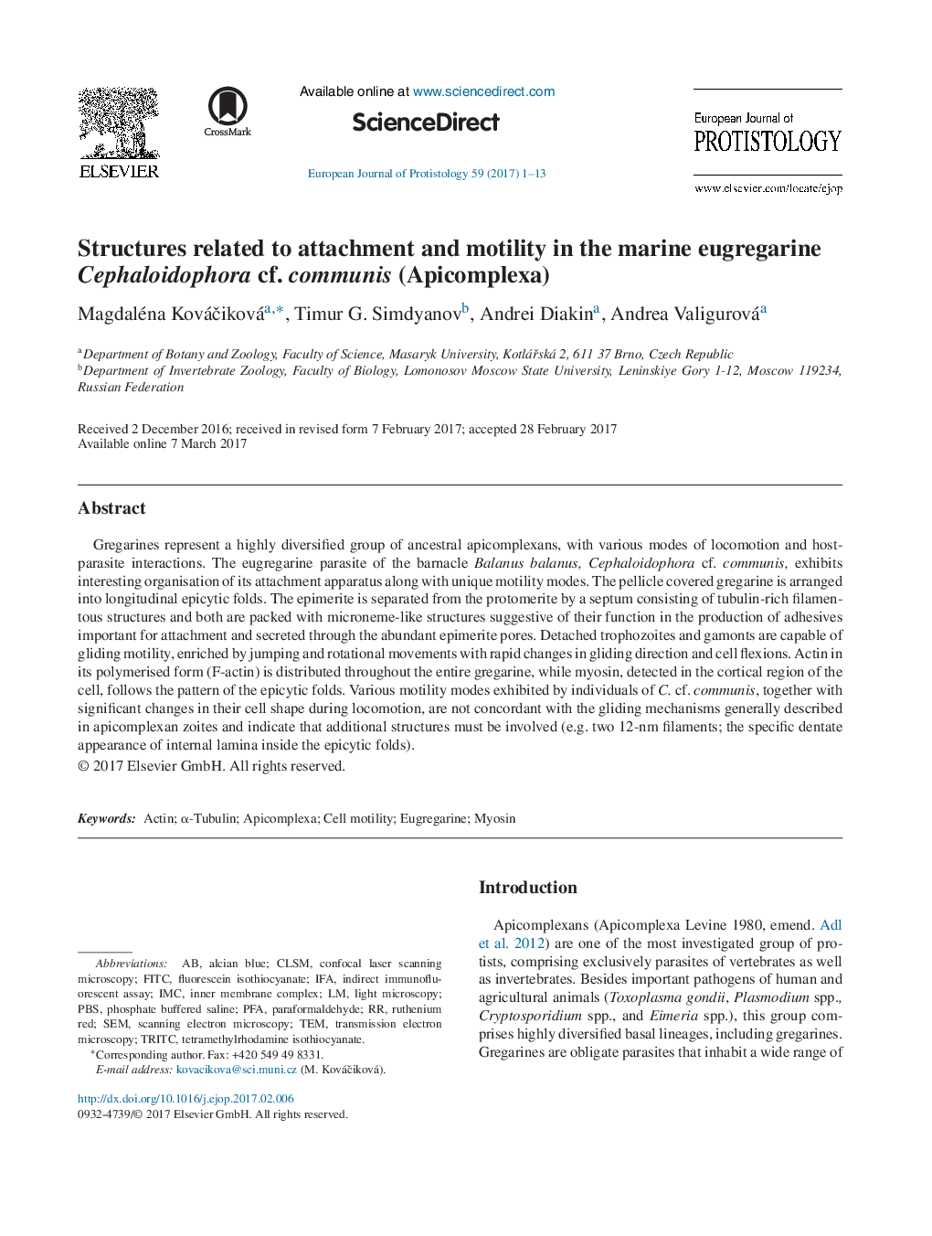 Structures related to attachment and motility in the marine eugregarine Cephaloidophora cf. communis (Apicomplexa)