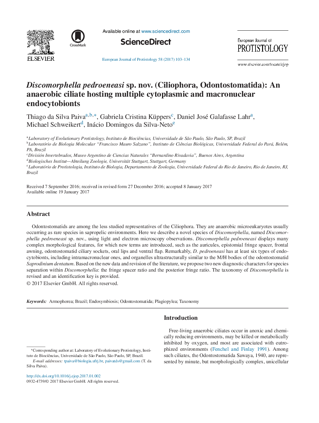 Discomorphella pedroeneasi sp. nov. (Ciliophora, Odontostomatida): An anaerobic ciliate hosting multiple cytoplasmic and macronuclear endocytobionts