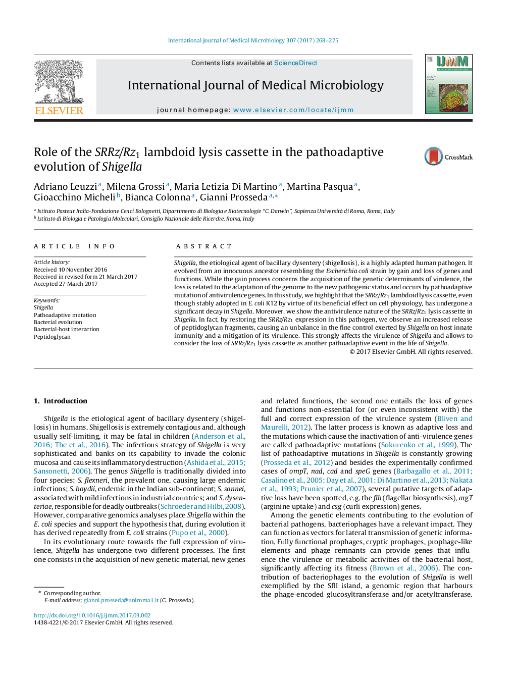 Role of the SRRz/Rz1 lambdoid lysis cassette in the pathoadaptive evolution of Shigella