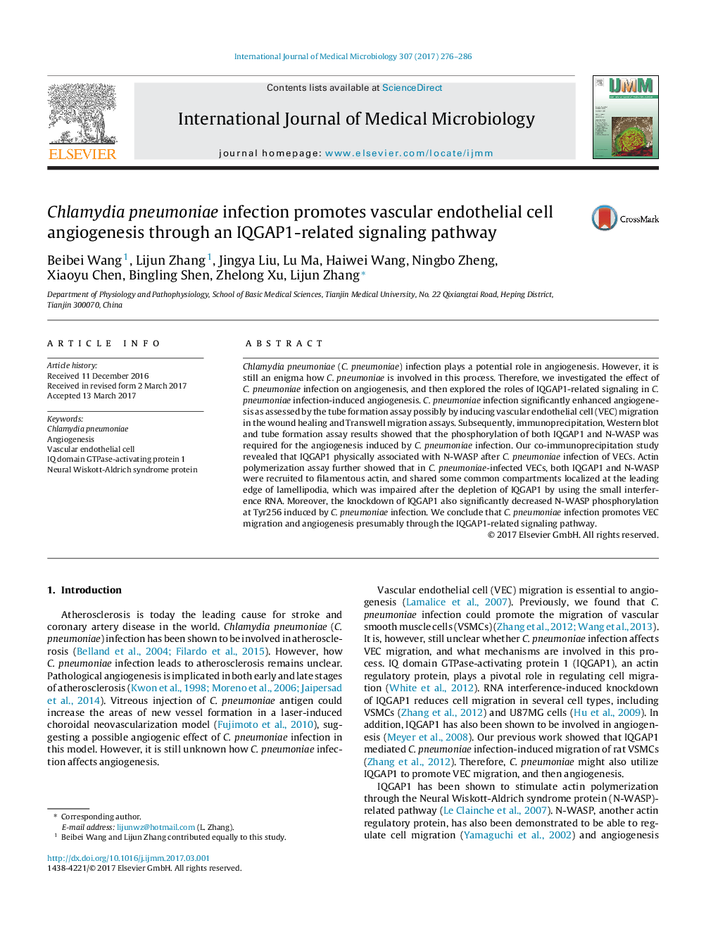 Chlamydia pneumoniae infection promotes vascular endothelial cell angiogenesis through an IQGAP1-related signaling pathway