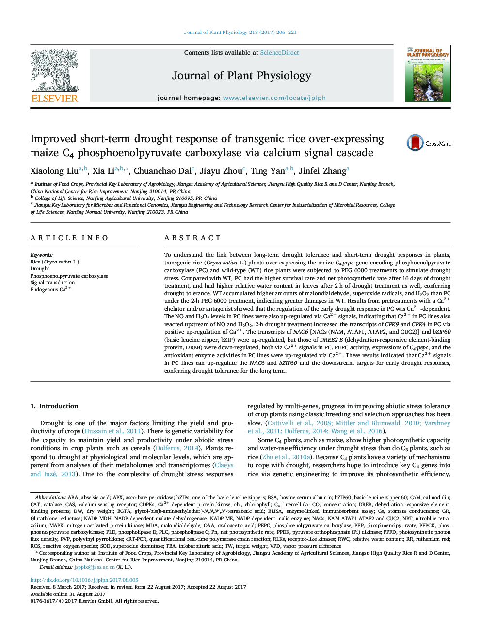 Improved short-term drought response of transgenic rice over-expressing maize C4 phosphoenolpyruvate carboxylase via calcium signal cascade