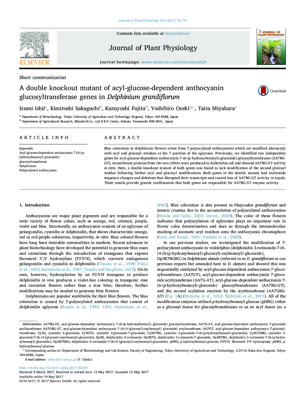 Short communicationA double knockout mutant of acyl-glucose-dependent anthocyanin glucosyltransferase genes in Delphinium grandiflorum