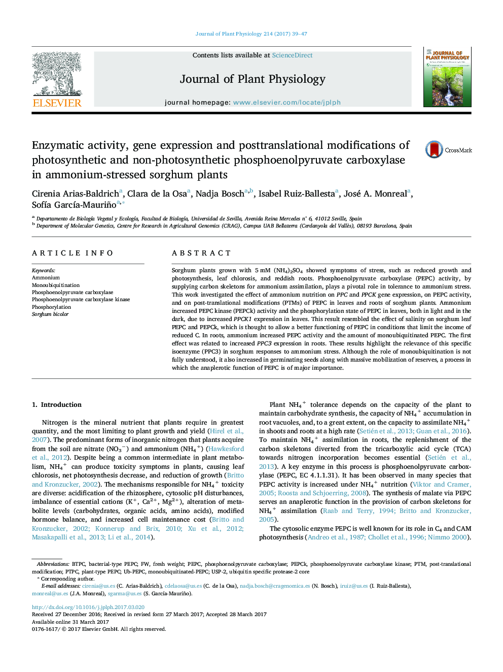 Enzymatic activity, gene expression and posttranslational modifications of photosynthetic and non-photosynthetic phosphoenolpyruvate carboxylase in ammonium-stressed sorghum plants