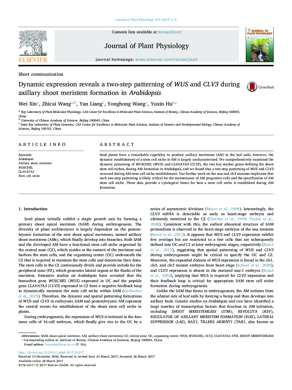 Short communicationDynamic expression reveals a two-step patterning of WUS and CLV3 during axillary shoot meristem formation in Arabidopsis