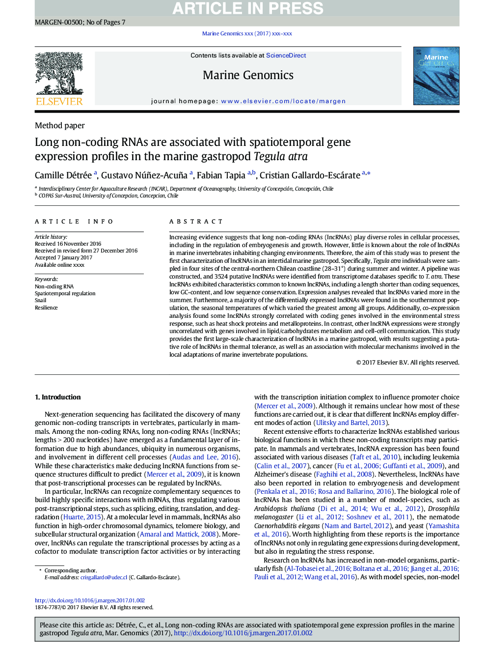 Long non-coding RNAs are associated with spatiotemporal gene expression profiles in the marine gastropod Tegula atra