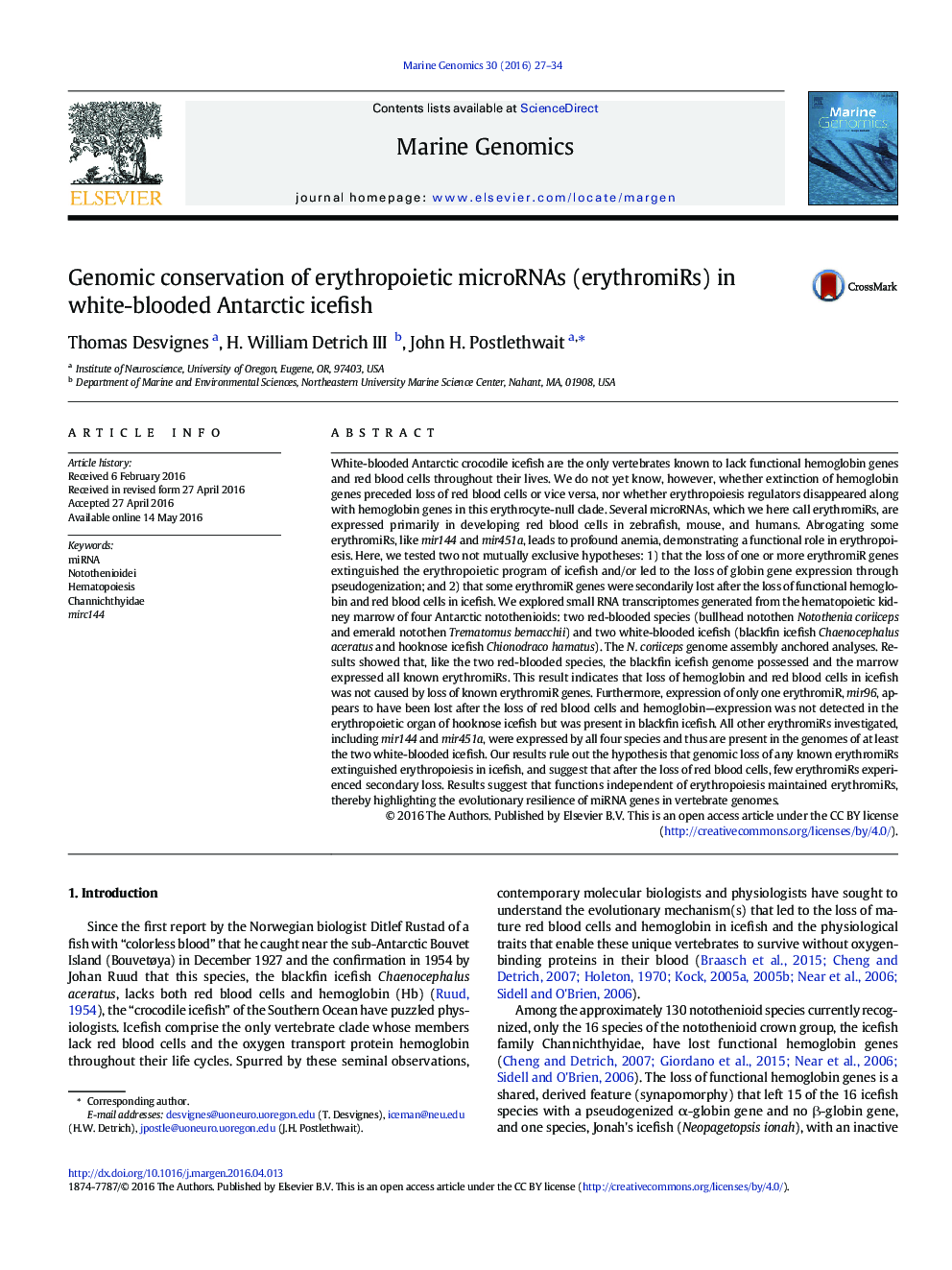 Genomic conservation of erythropoietic microRNAs (erythromiRs) in white-blooded Antarctic icefish