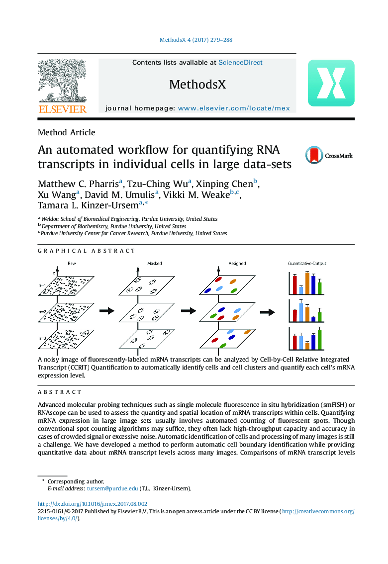 An automated workflow for quantifying RNA transcripts in individual cells in large data-sets