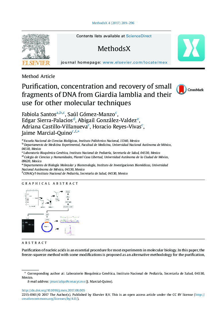 Purification, concentration and recovery of small fragments of DNA from Giardia lamblia and their use for other molecular techniques