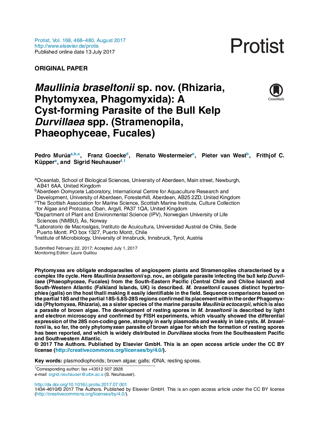 Maullinia braseltonii sp. nov. (Rhizaria, Phytomyxea, Phagomyxida): A Cyst-forming Parasite of the Bull Kelp Durvillaea spp. (Stramenopila, Phaeophyceae, Fucales)