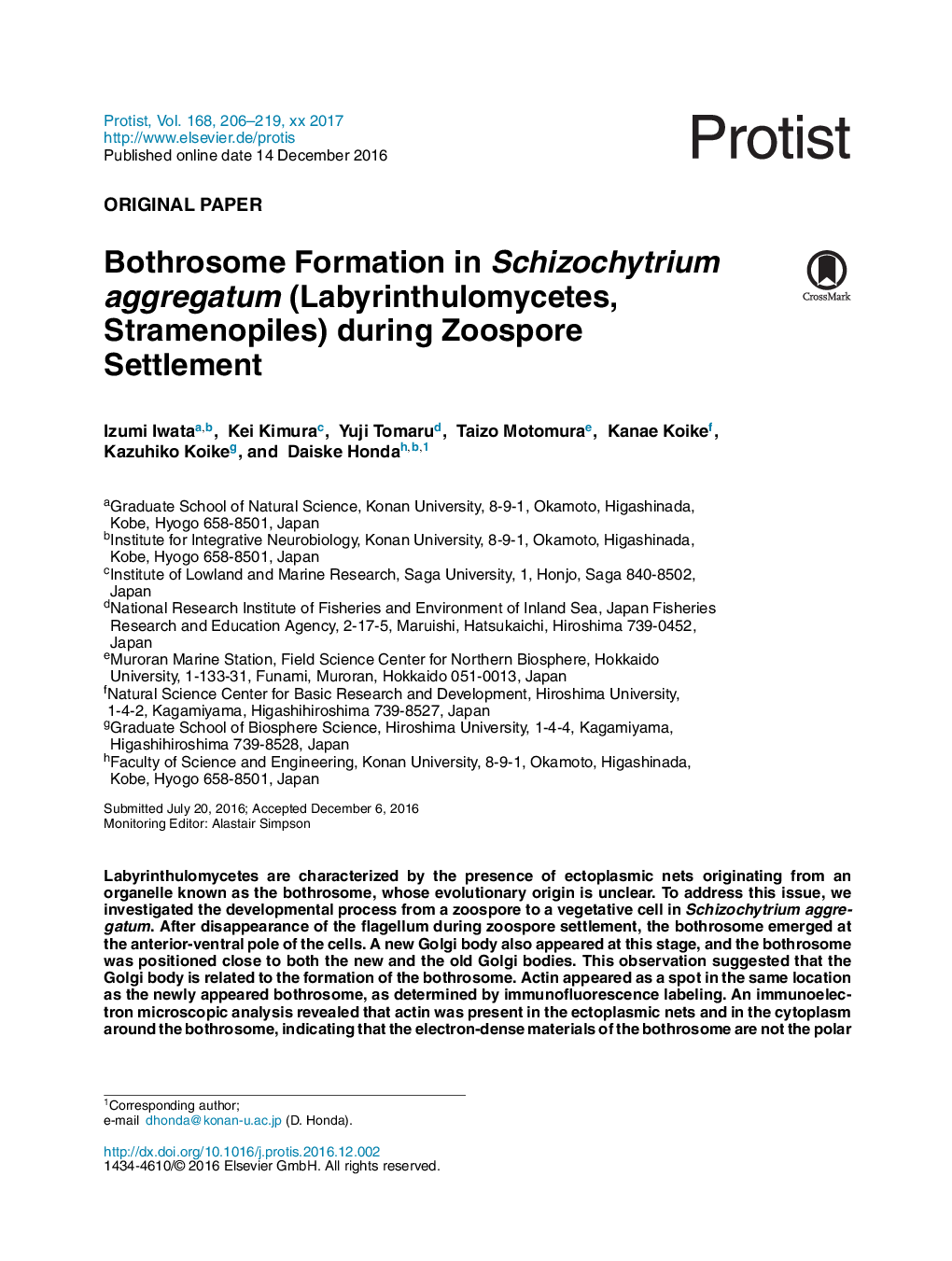 ORIGINAL PAPERBothrosome Formation in Schizochytrium aggregatum (Labyrinthulomycetes, Stramenopiles) during Zoospore Settlement