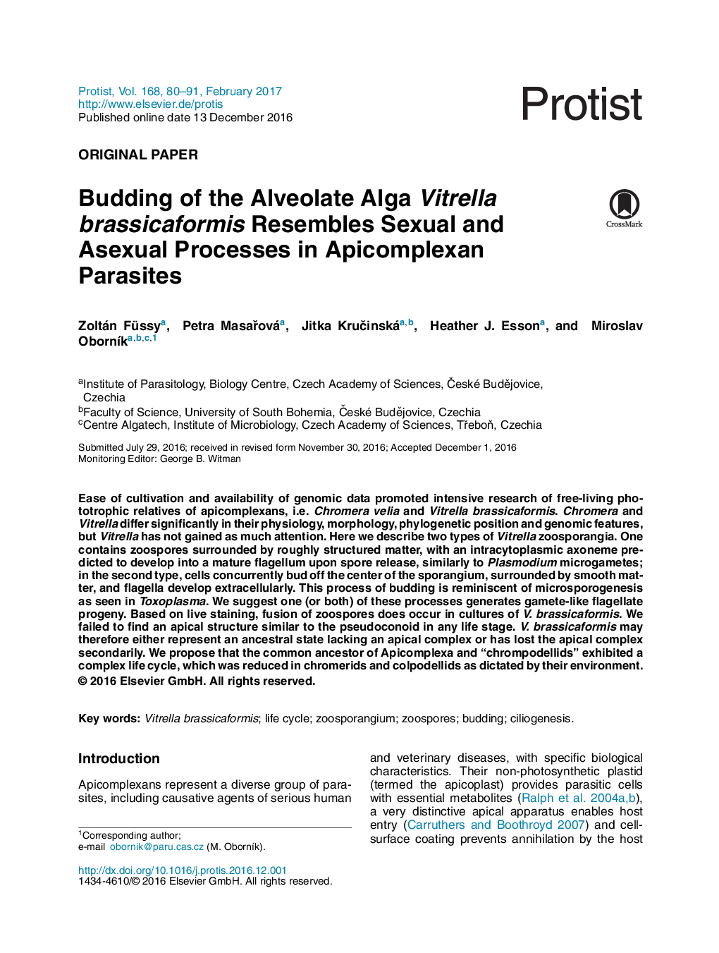 Original PaperBudding of the Alveolate Alga Vitrella brassicaformis Resembles Sexual and Asexual Processes in Apicomplexan Parasites