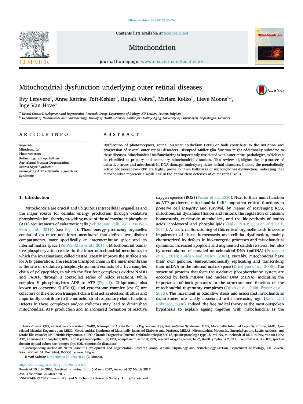 Mitochondrial dysfunction underlying outer retinal diseases