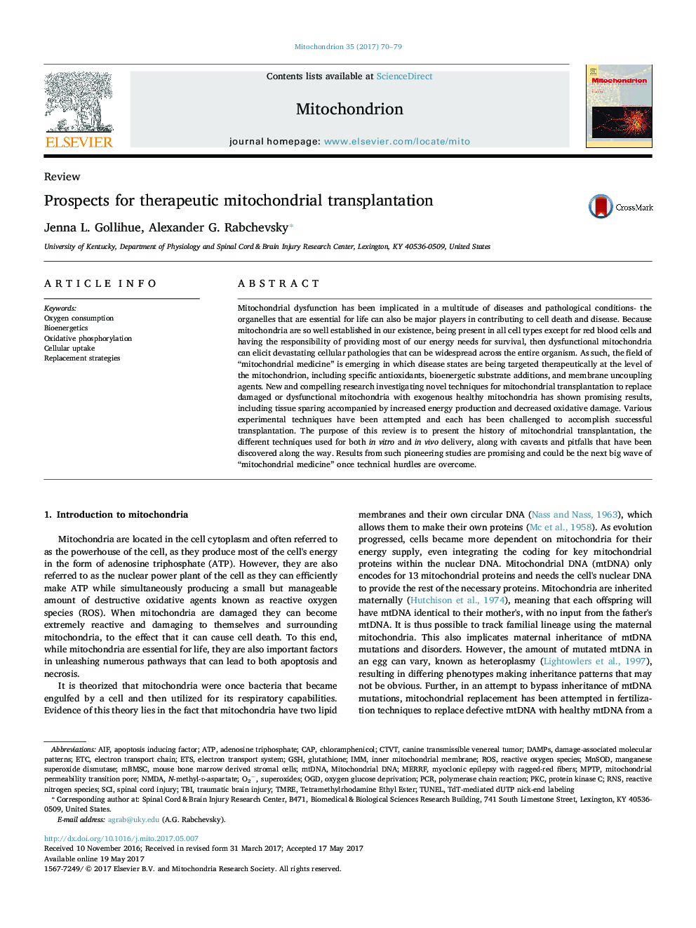 ReviewProspects for therapeutic mitochondrial transplantation