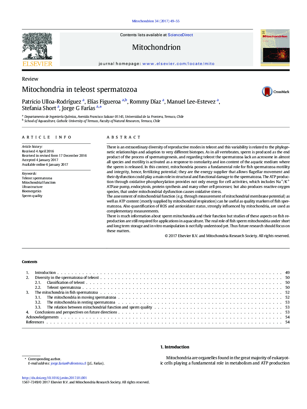 ReviewMitochondria in teleost spermatozoa