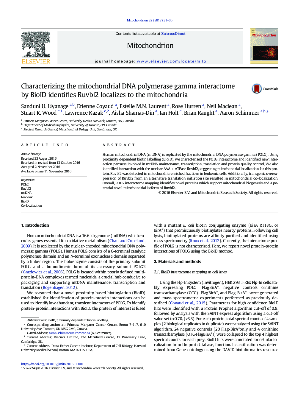 Characterizing the mitochondrial DNA polymerase gamma interactome by BioID identifies Ruvbl2 localizes to the mitochondria