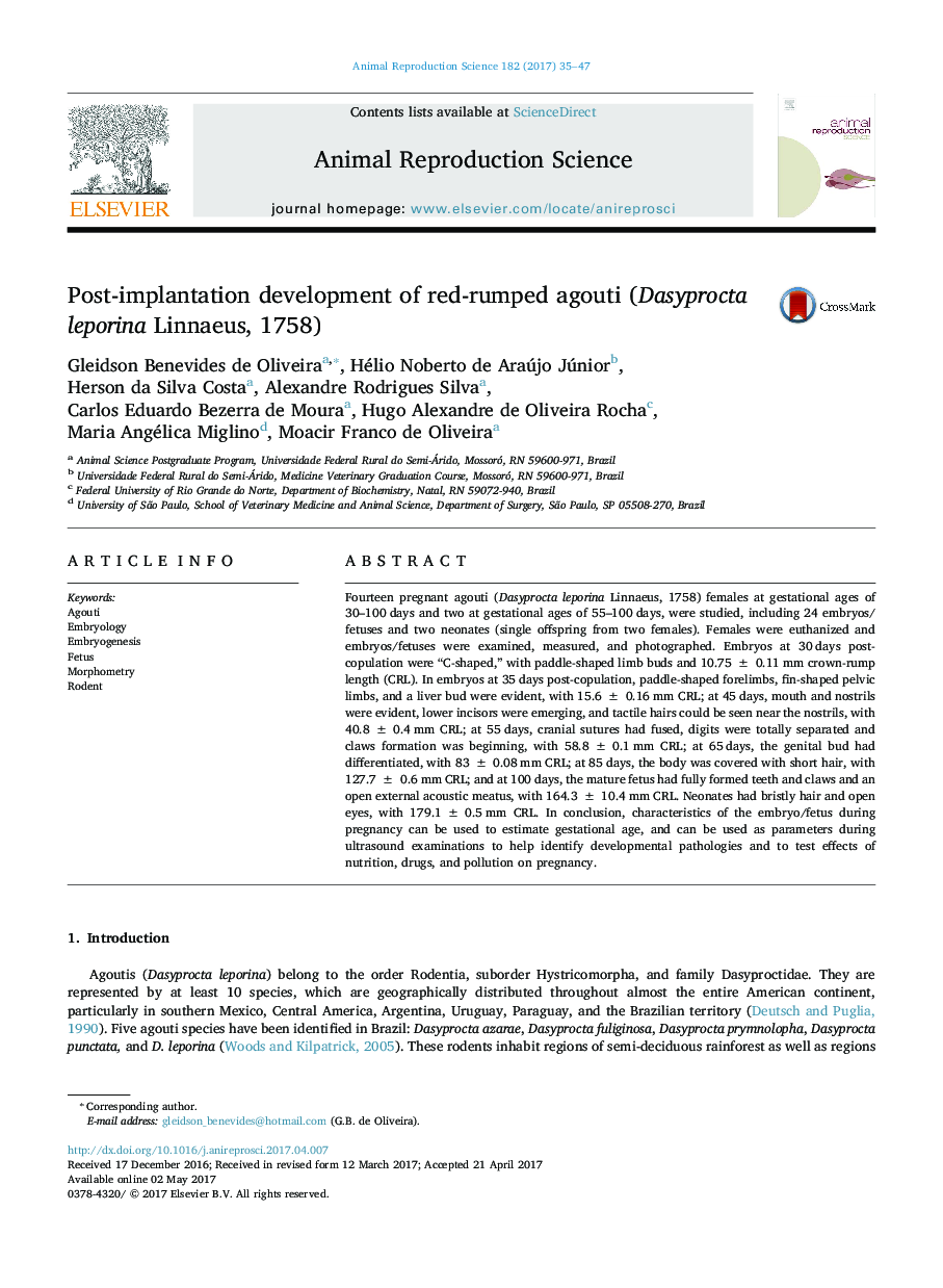 Post-implantation development of red-rumped agouti (Dasyprocta leporina Linnaeus, 1758)