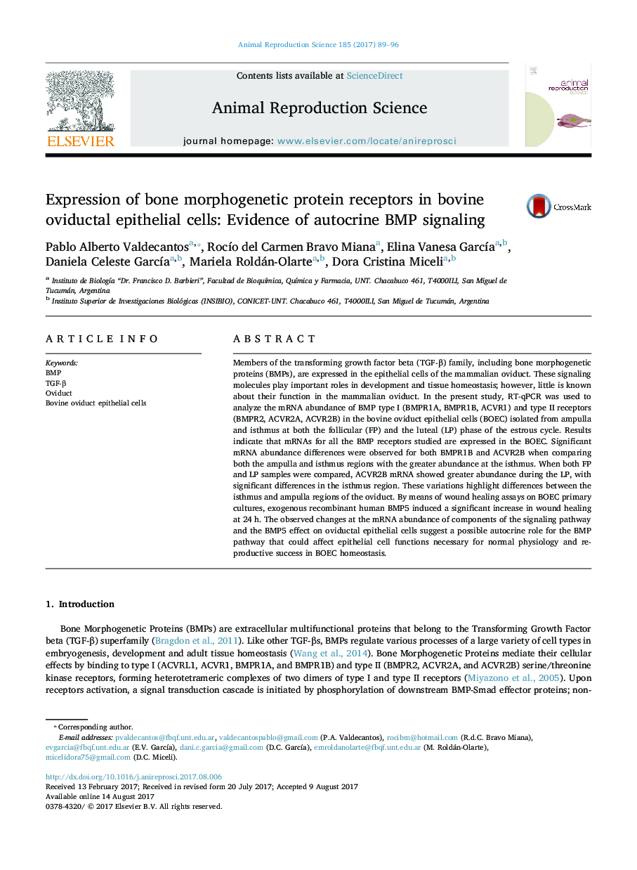 Expression of bone morphogenetic protein receptors in bovine oviductal epithelial cells: Evidence of autocrine BMP signaling